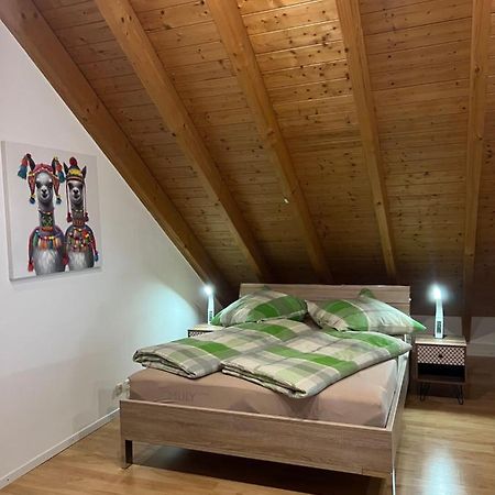 Ferienwohnung Zentral In Loerrach - Konus Gaestekarte Inklusive Kültér fotó