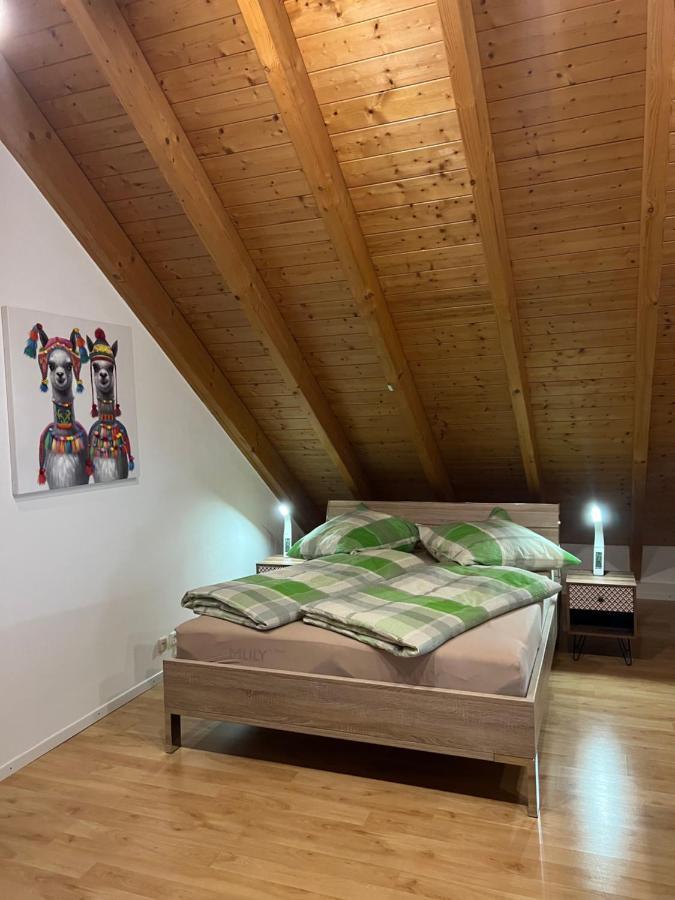 Ferienwohnung Zentral In Loerrach - Konus Gaestekarte Inklusive Kültér fotó